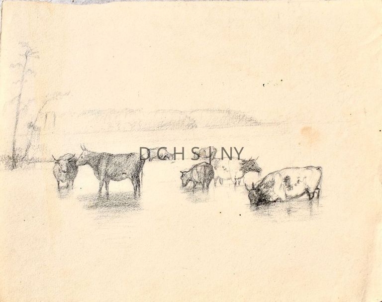 Untitled (Cows in Water) [No date] — View of seven cows standing in a body of water. In the foreground, the rightmost cow is spotted, leaning its head and upper half of its body into the water to drink. Behind it are two cows, the one on the right has some sort of vegetation in its mouth, and the cow to its left and leans its head to drink. To the left is a standing cow in profile facing the left, and to its left is a cow that stands facing the viewer. In the further background are two more cows drinking in the water. To the left of all the cows are two trees and the indication of vegetation, and in the background is land, either cliffs or mountains.