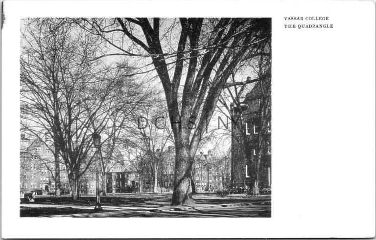 Quadrangle