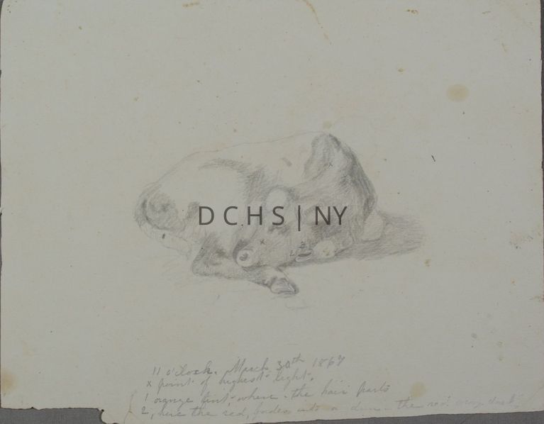 Untitled ("11 O'Clock") — View of a reclining cow, with its head laying on the ground, resting. The cow's body is in profile toward the right, while its turned head faces in profile toward the left. Above its upper back is the suggestion of another form through a pencil marking, and below the lower leg, there is the suggestion of an earlier version of a hoof. Along the cow's body are numbers that correspond to notes made in the lower section of the paper that detail the coloring of the cow. In the head, there is an x, 2, and another symbol. On the upper neck is another x, while the tail includes a 1. The bottom section of writing reads: "11 o'clock, March 30th 1867 / x paint of highest light / 1 orange tint, where the hair parts / 2, here the red, fades into a (?)  - The red very dark".