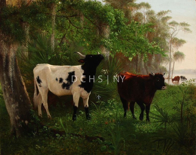 Untitled (Four Cows in Florida) [After 1867] — View of a landscape with cows, trees, and a body of water. In the foreground there are a variety of different vegetation, some small flowers, and small plants, and some larger. On the right side of the foreground are the larger pieces of vegetation that reach up toward the center part of the right edge. On the left of the foreground is a large tree trunk that extends toward the upper left corner. In the center portion of the middle ground are two central cows. The leftmost cow is black and white and stands in profile toward the right, with its head lifted upwards. The cow on the right is much smaller in height, and is a dark red coloring. It faces slightly toward the viewer. Above these two cows is a tree branch that reaches out from the left to enclose the two cows In the background there are more trees and vegetation, with fan-like shaped leaves, white colored flowers, and moss that hangs from the branches of the trees. To the right of the background are more trees, which are very tall in height, and also have the hanging moss. Below these trees is a small section of water where there are two cows that stand there to drink. Behind this area is what appears to be more land, possibly a hill. The composition of this painting, and its subjects, is very similar to the other landscape painting of cows in Florida, Three Cows at the Mouth of Deep River, Florida