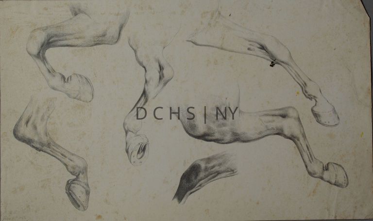Untitled (Study of Six Horse Legs) — Study of six different views of a horse's leg, its muscles, and tendons. The lower leftmost leg faces bent in profile toward the right. Above that is another bent leg that faces the left. In the center is a leg that faces away from the viewer, with a view of the horseshoe underneath. To the right, the lowest study focuses solely on the joint/knee of a horse's leg. Above that are two more legs that are more extended than the two on the other side. The legs are heavily shaded with cross hatching to render the shadows. There is no other background. The page is signed "C.M.C" in the lower left corner.