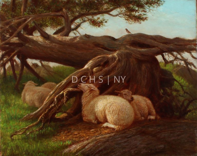 Evensong [No date] — View of sheep reclining in the roots of a gnarled tree. In the foreground is grass and a section of root. In the middle ground, at the center of the composition, are two sheep reclining. The one on the left faces in profile to the left, with its head lifted up and resting on the root behind it. To its right is another sheep that is nestled next to its companion, with its body facing toward the left, and its head turned in profile to the right. These two central sheep are cornered off by the large roots, but behind these roots to the left, is more open grass, and two more sheep which face away from the viewer. To the right are more small branches/roots from the tree, and grass. In the background, the main section of the tree trunk lays out horizontally, with a small bird perched at its center, directly above the two central sheep. In the left section of the composition, there are the leaves and branches from the top of the tree, and the suggestion of further sheep reclining in the grass. The sky is blue with slight, white clouds.