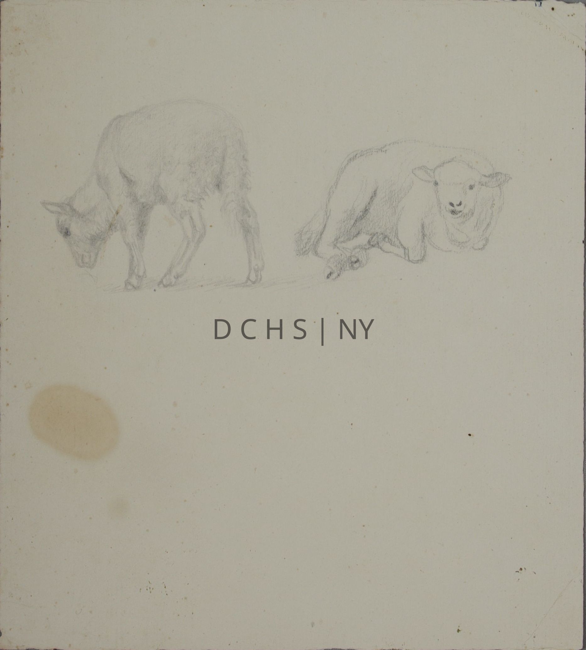 Untitled (Duo of Sheep): Sketch of two sheep. The left sheep faces away from the viewer with its head twisted to graze in profile toward the left. The right sheep reclines, with both its body and head facing toward the viewer. There is no other background beside the shading at the left sheep's feet, which either suggests shadow or grass.