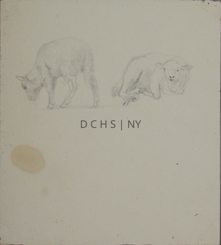 Untitled (Duo of Sheep) — Sketch of two sheep. The left sheep faces away from the viewer with its head twisted to graze in profile toward the left. The right sheep reclines, with both its body and head facing toward the viewer. There is no other background beside the shading at the left sheep's feet, which either suggests shadow or grass.