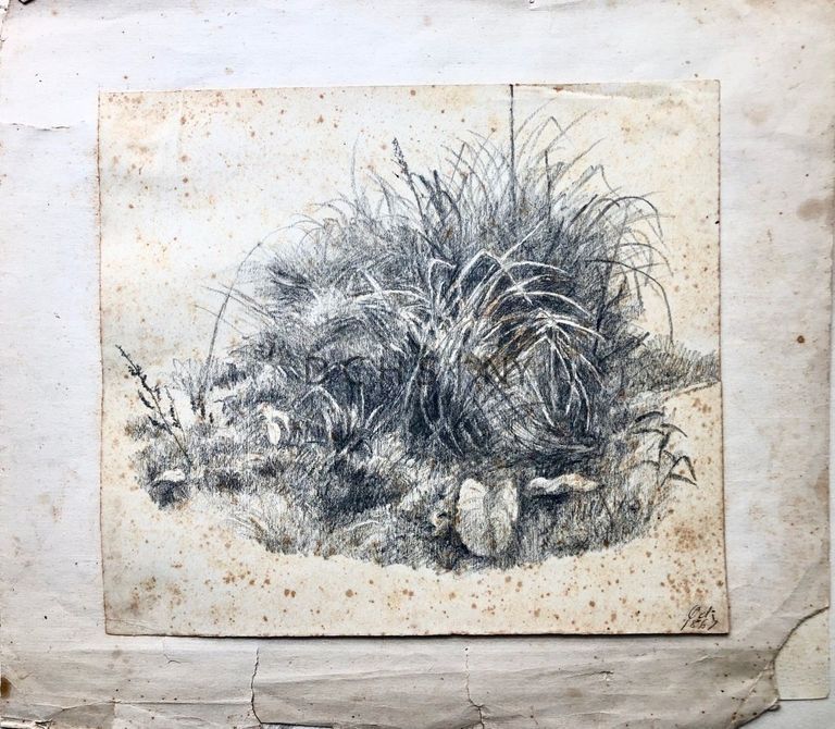 Untitled (Grassy Hill) — View of a grassy mound/knoll/hill, with long bladed grass in the background, and other types of vegetation in the foreground. There is a larger leafed plant in the right of foreground. There is no other background.