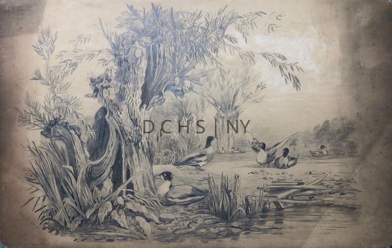 Untitled (Waterfowl) — View of waterfowl (ducks/geese) in a landscape near the edge of a body of water. In the foreground, on the left, are vegetation including grasses, and the stump of a dead tree with plants growing out of it. To the right of this tree is a sitting bird facing to the left, and to the right of bird are more aquatic grasses, the rocky shore, and water. In the middle ground there are three birds that stand in the center of the composition on the dry land--one faces in profile to the right, and the other two face to the left, one with its wings expanded and the other reclining. In the background, on the left, are cattails and vegetation, more trees and their branches, with three birds sitting at the base of the tree at the center of the composition. To the right is a sitting bird with shading behind it, perhaps bushes. Signed in the lower left corner, "Carrie M. Clowes".
