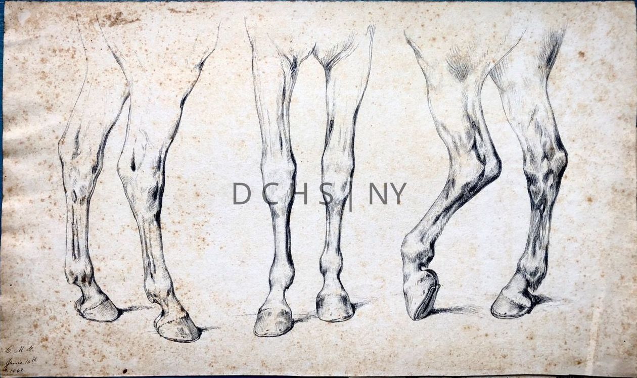 Untitled (Study of Horse Legs and Hooves): Study of three detailed horse legs and hooves from different angles/views. The leftmost legs face in profile toward the right, the centermost face frontally toward the viewer, and those on the right face toward the left in profile, with one slightly raised. There is no other background beside shading on the ground to indicate shadow. The lower left corner is signed with "C.M.C.", and in upper left corner there are further writing/pencil marks, but are intelligible