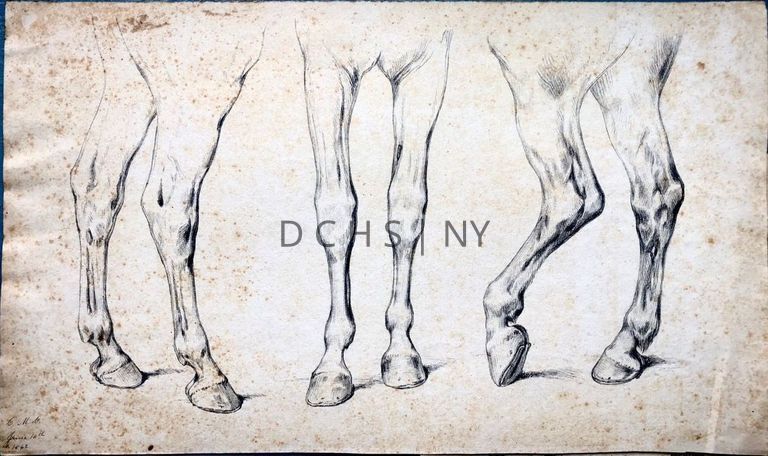 Untitled (Study of Horse Legs and Hooves) — Study of three detailed horse legs and hooves from different angles/views. The leftmost legs face in profile toward the right, the centermost face frontally toward the viewer, and those on the right face toward the left in profile, with one slightly raised. There is no other background beside shading on the ground to indicate shadow. The lower left corner is signed with "C.M.C.", and in upper left corner there are further writing/pencil marks, but are intelligible