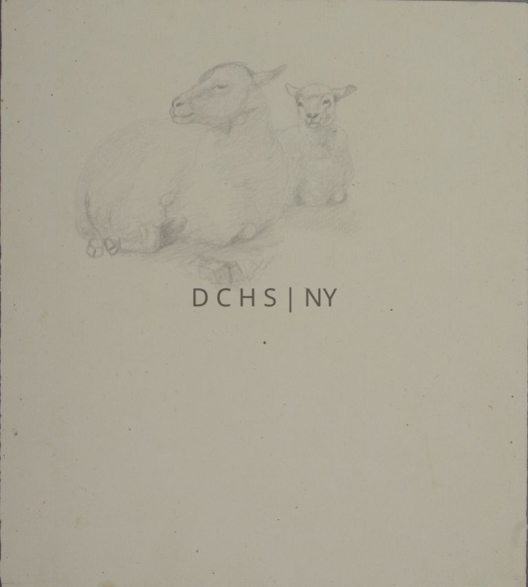 Untitled (Sheep and Lamb) — View of two sheep reclining. On the left is a larger, adult sheep whose body is slightly angled toward the viewer, toward the right, while its head is in profile facing to the left. To the right, positioned slightly behind the sheep is a lamb who is front facing, both in its body and head. There is no other background beside shading at the sheep's hooves.