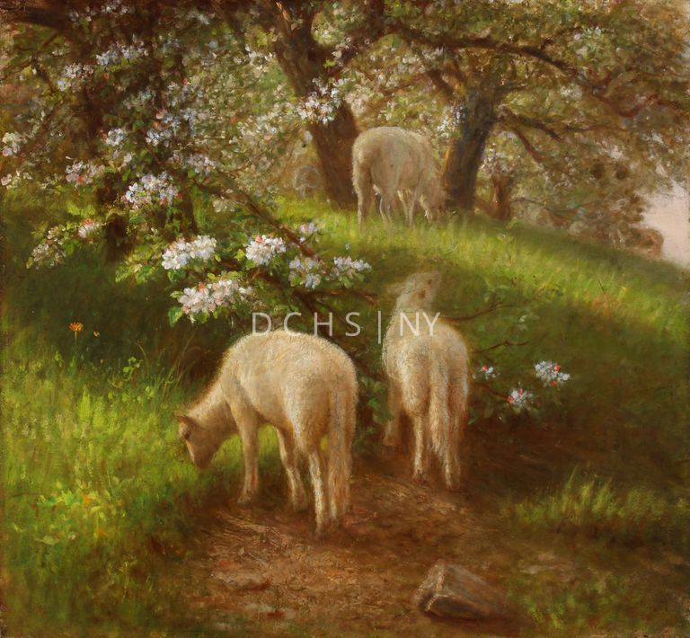 Untitled (Sheep Grazing) [no date] — View of three sheep grazing in a wooded environment, with trees and grass. In the foreground, there is a section of grasses, punctuated by what appear to be some small flowers. In the middle ground are the three sheep. The leftmost sheep is a young sheep, who stands in profile, facing the left, with its head raised to graze on a vine that is attached to a large tree to the left. The sheep to the right of the young sheep is a larger adult sheep, that stands slightly angled toward the viewer, with its head lowered to graze. To the right is another sheep that is slightly obscured, or is darker, which reclines in profile facing the right. The tree on the left side of the middle ground has vines that extend upwards and toward the right. To the right of the sheep in the background is a section of grass or pasture. Behind this pasture, and on its sides are more trees/forest.