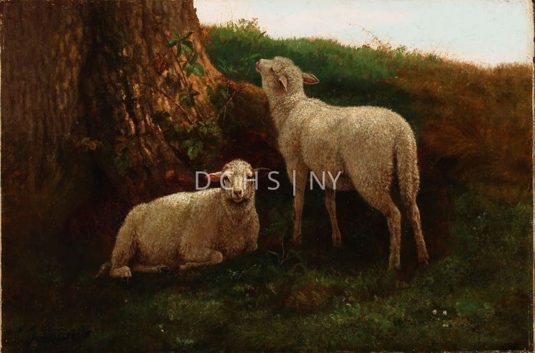 Lambs [no date] — View of two young sheep set within the trunk of tree, and the rise of a hill. In the foreground is grass, and a few small light colored flowers. At the center of the composition in the middle ground are the two lambs. The one of the left reclines with its body in profile, facing the right, while its head faces directly towards the viewer. The sheep on the right stands, angled away from the viewer with its head resting upwards on the roots of the tree. Behind the lambs on the left side is a large tree trunk, whose roots reach slightly toward the center. On this trunk is a climbing vine that reaches upwards, and toward the standing sheep that reaches to graze on its  leaves. On the right, is the grass, which extends from the trunk above the lambs, down to the right, and into the foreground. The ground rises into an incline/hill on top of the lambs.