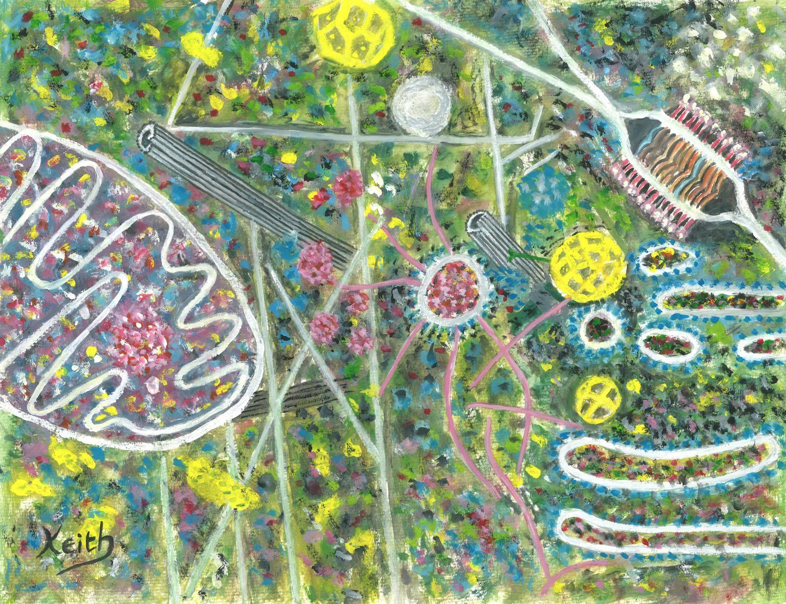 AWE at Genentech Exhibit