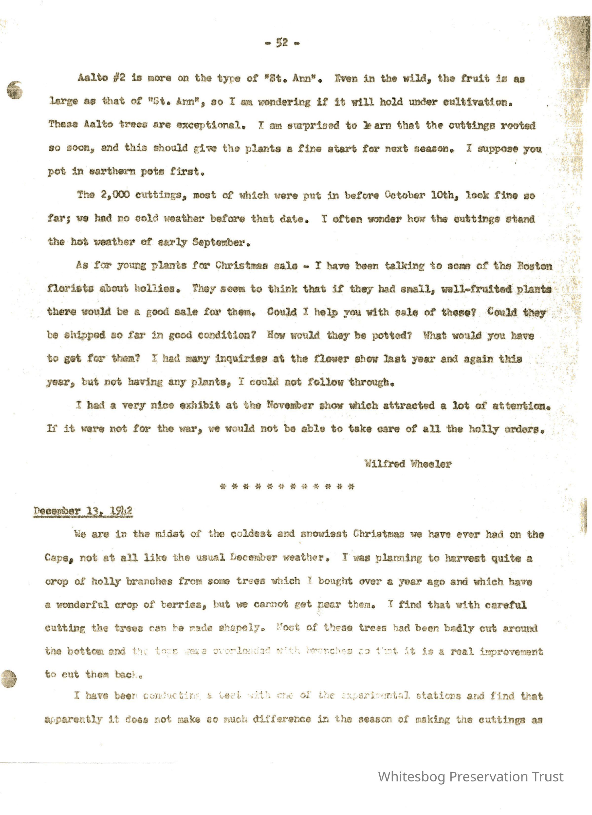 Letters Between Elizabeth White and Wilfrid Wheeler picture number 1
