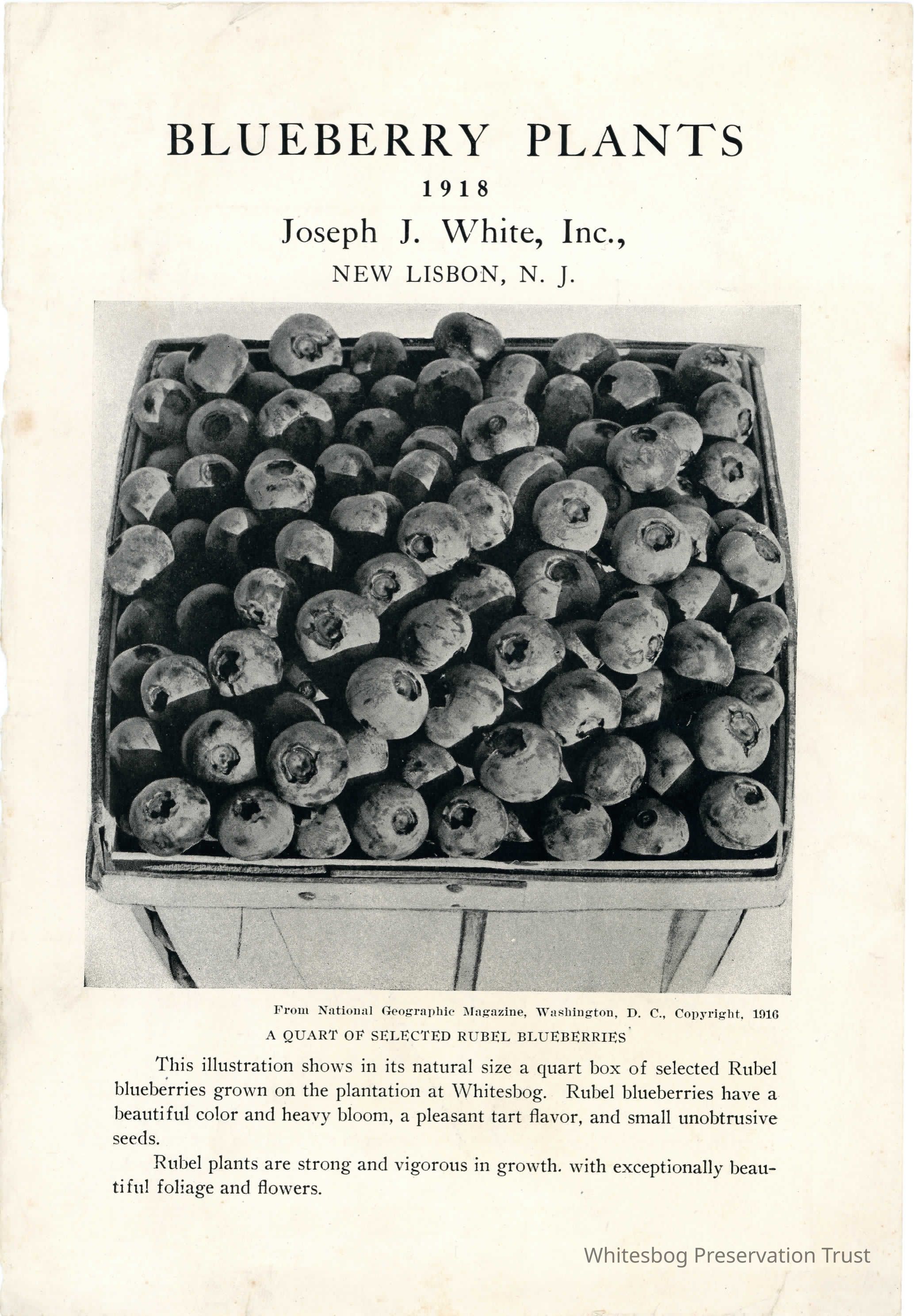          1918 Sales Catalog Cover picture number 1
   