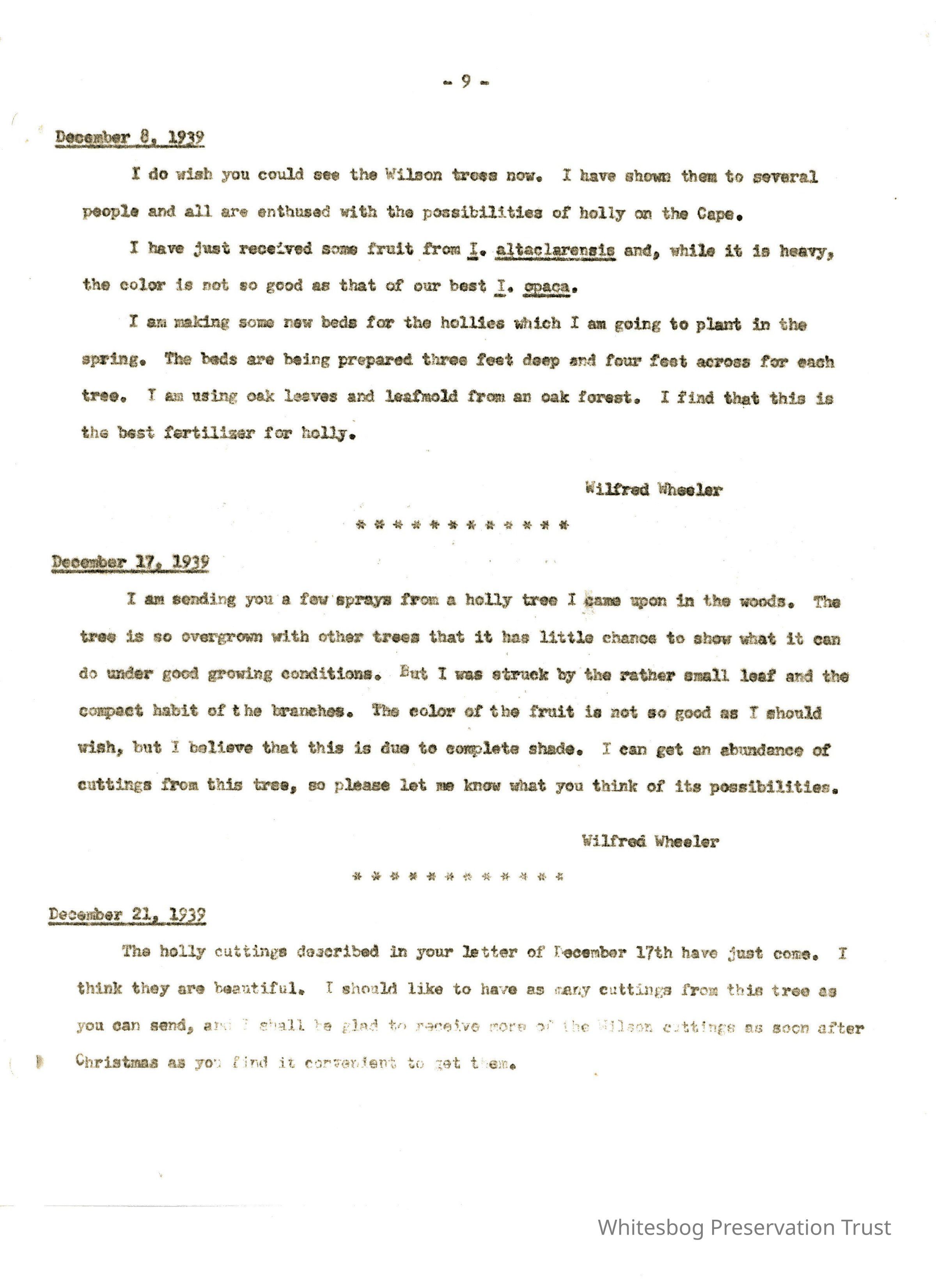 Letters Between Elizabeth White and Wilfrid Wheeler picture number 1