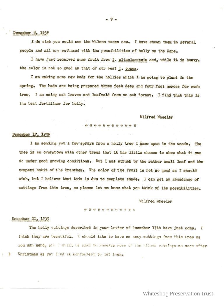          Letters Between Elizabeth White and Wilfrid Wheeler picture number 1
   