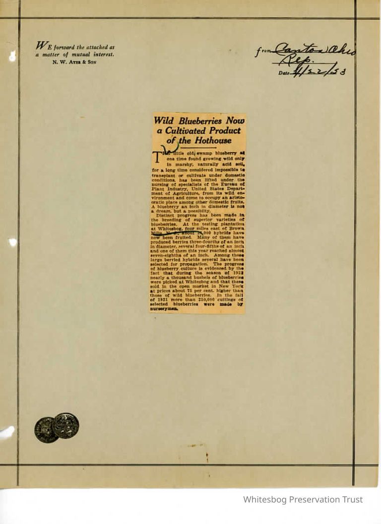          Newspaper Clipping picture number 1
   