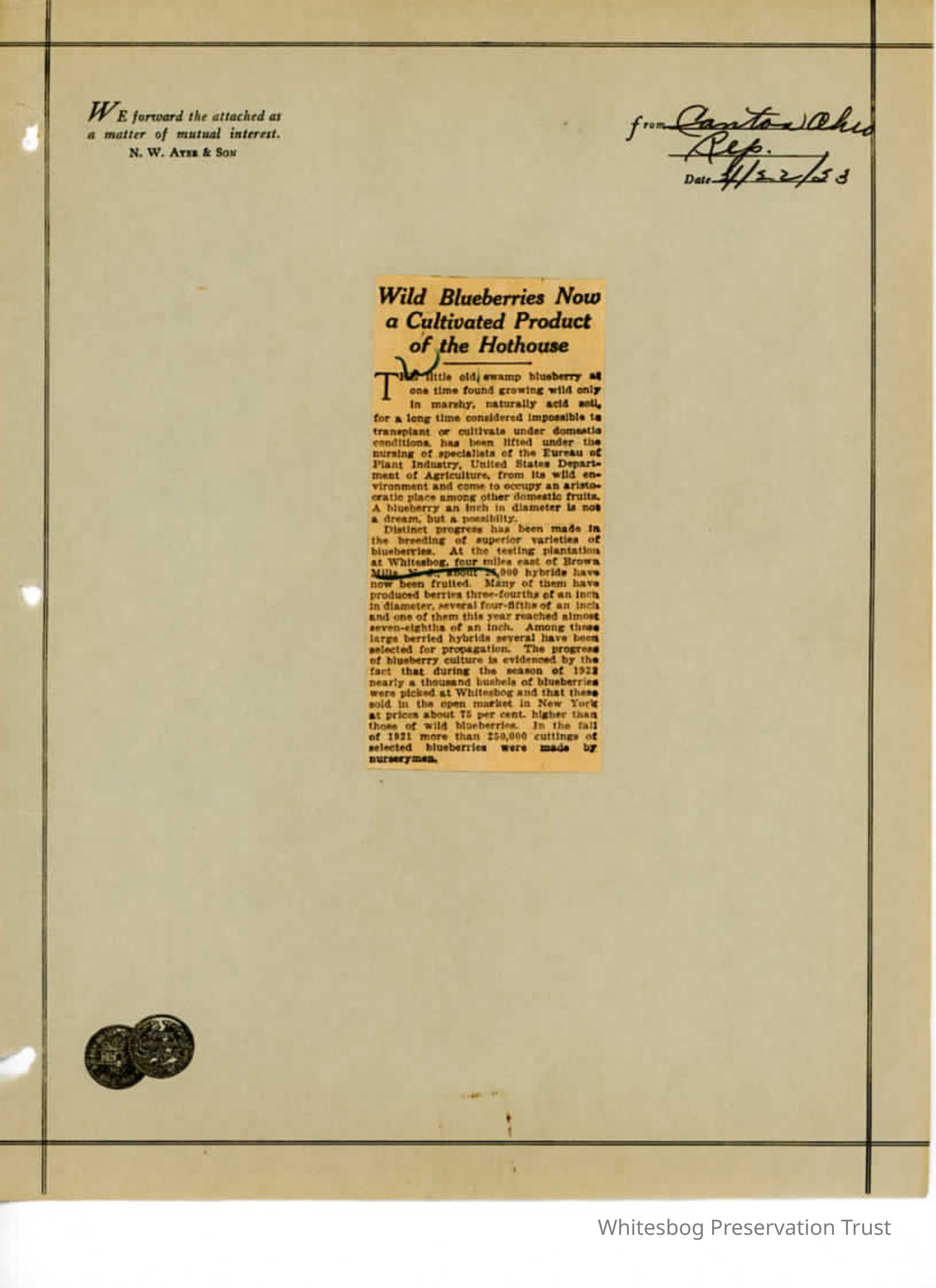          Newspaper Clipping picture number 1
   