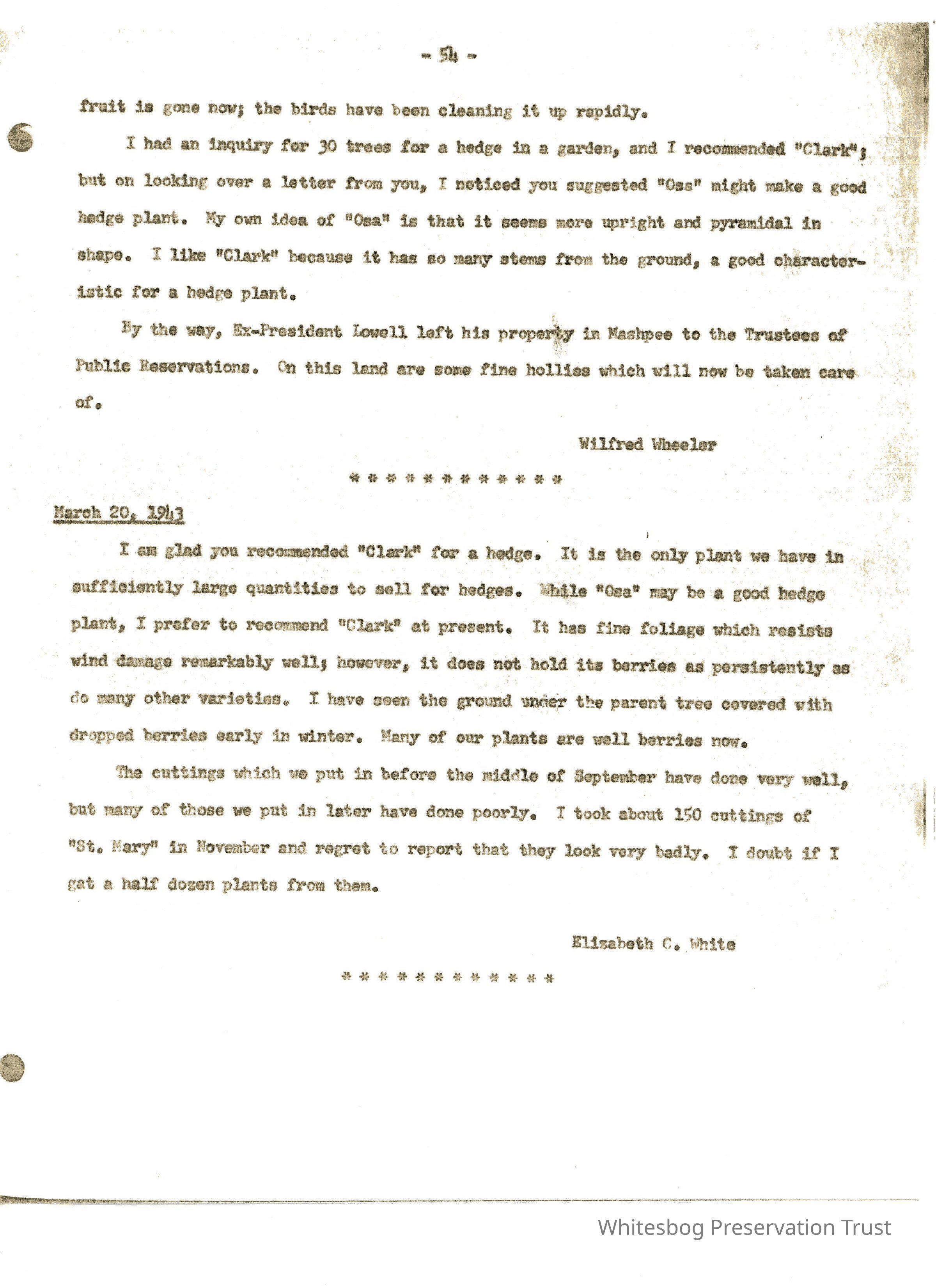 Letters Between Elizabeth White and Wilfrid Wheeler picture number 1