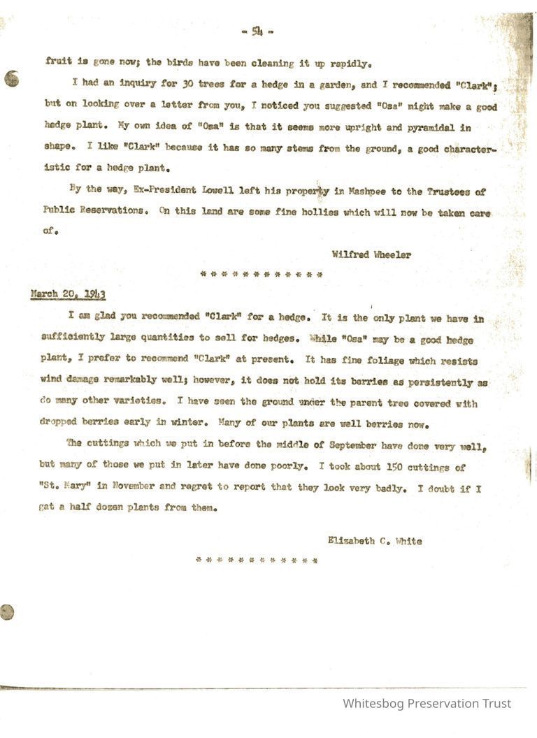          Letters Between Elizabeth White and Wilfrid Wheeler picture number 1
   