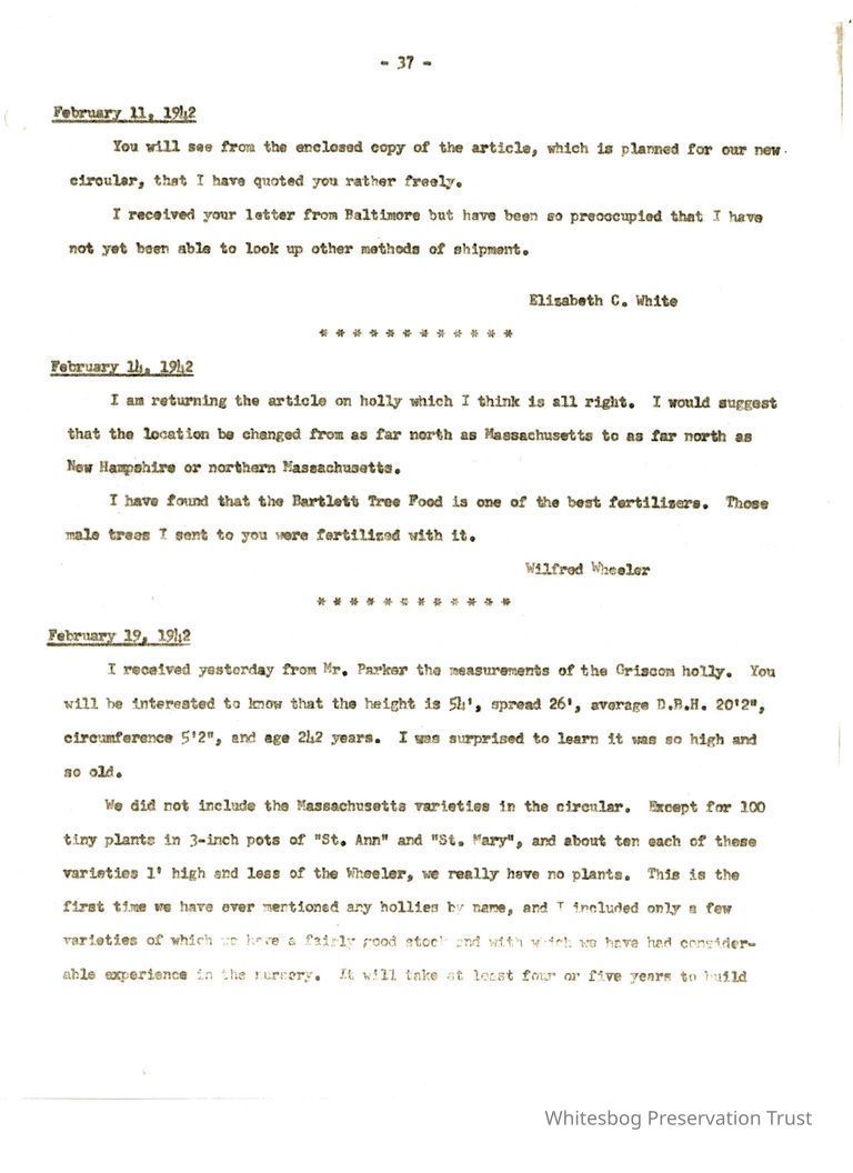          Letters Between Elizabeth White and Wilfrid Wheeler picture number 1
   