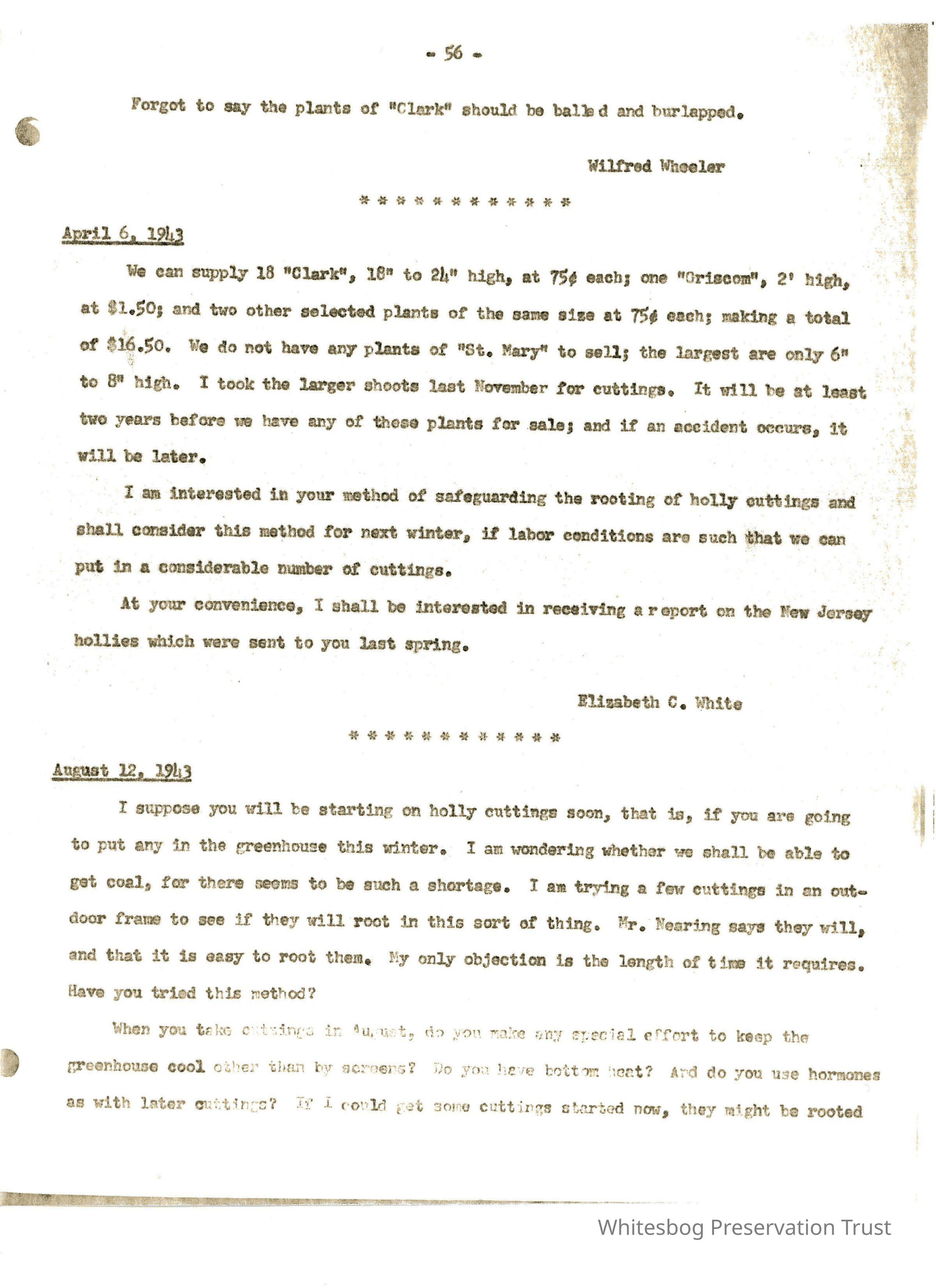 Letters Between Elizabeth White and Wilfrid Wheeler picture number 1