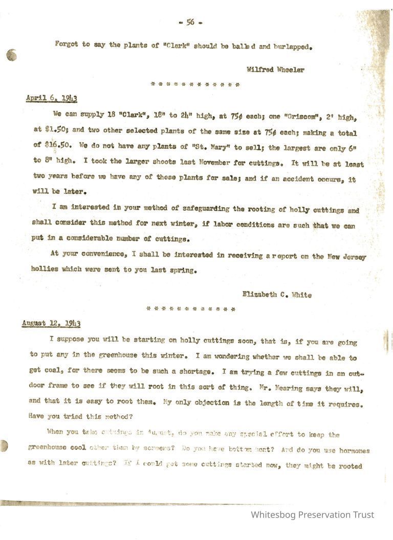          Letters Between Elizabeth White and Wilfrid Wheeler picture number 1
   