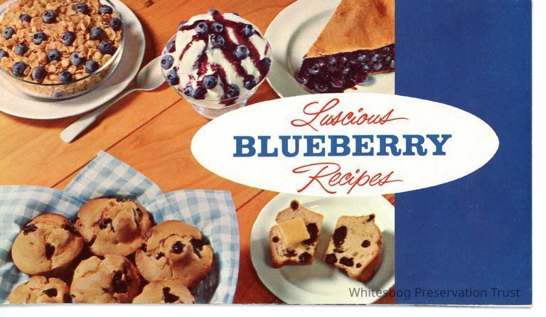          Luscious Blueberry Recipes picture number 1
   