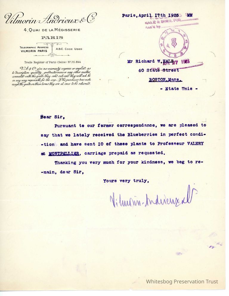          Letters from Europe picture number 1
   