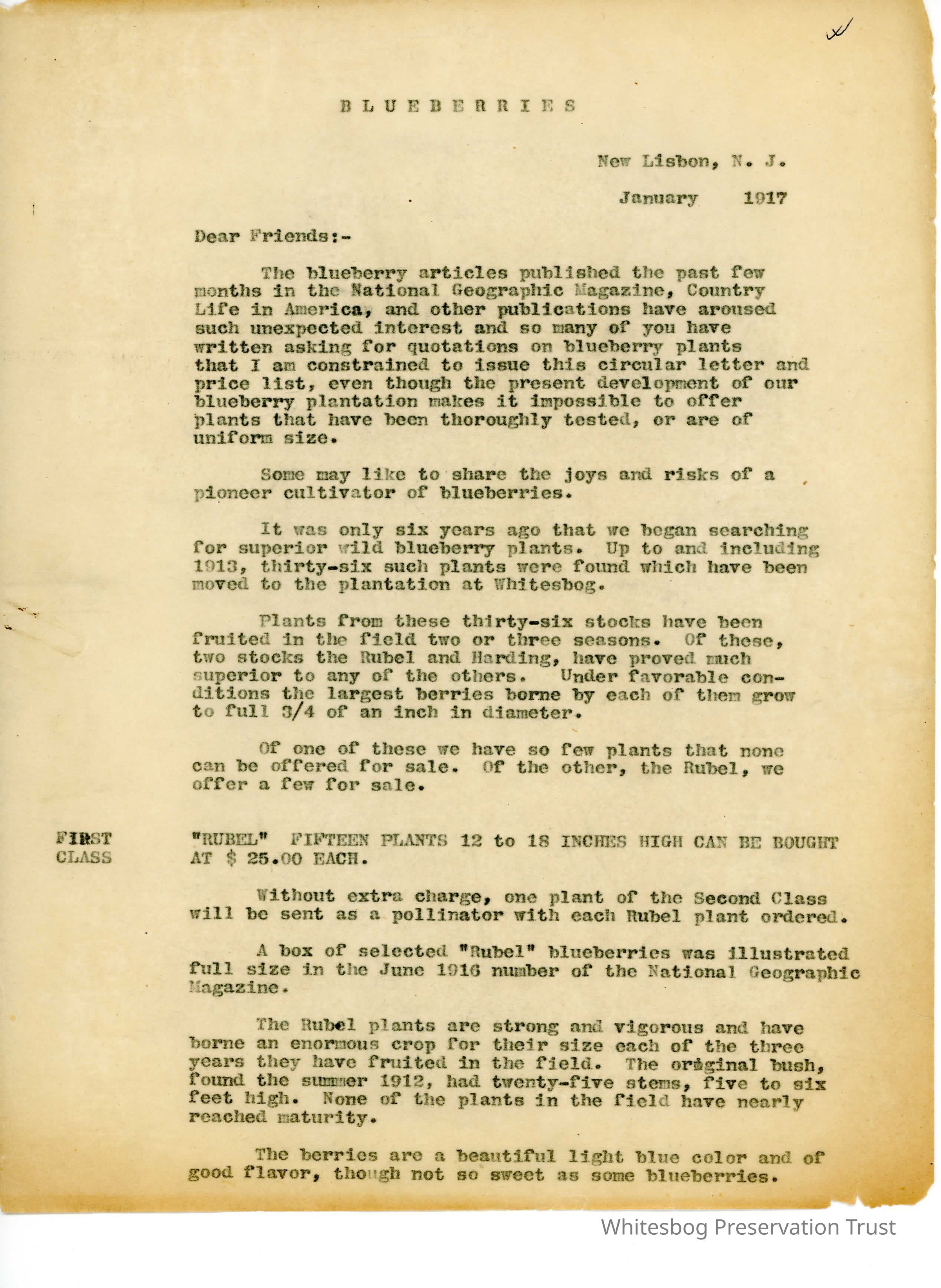          Blueberries picture number 1
   