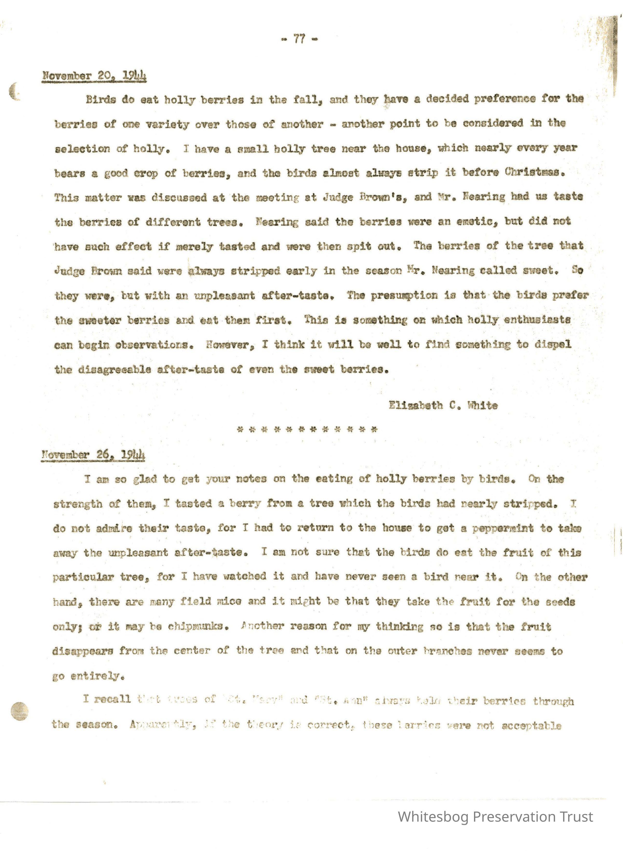 Letters Between Elizabeth White and Wilfrid Wheeler picture number 1