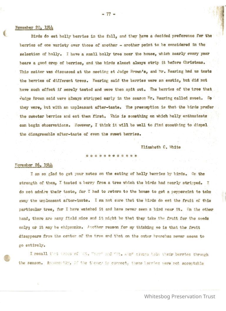         Letters Between Elizabeth White and Wilfrid Wheeler picture number 1
   