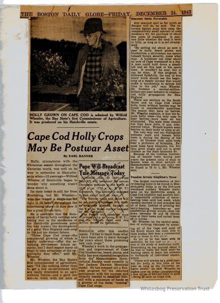Holly Crops May be Postwar Asset picture number 1