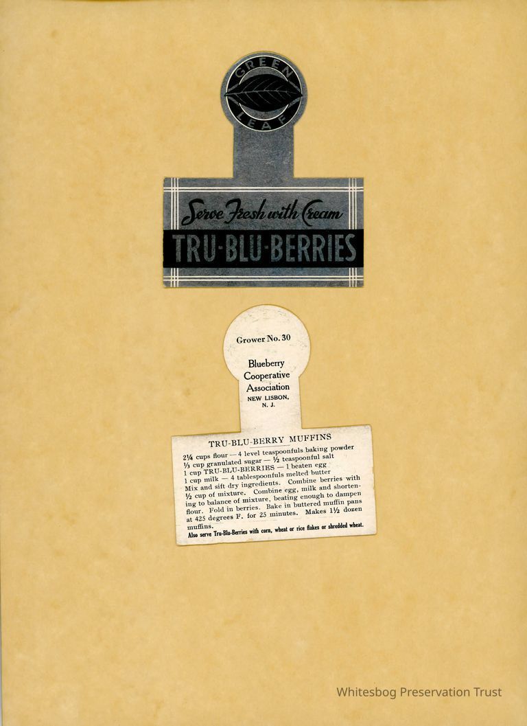          Blueberry Recipe Card picture number 1
   