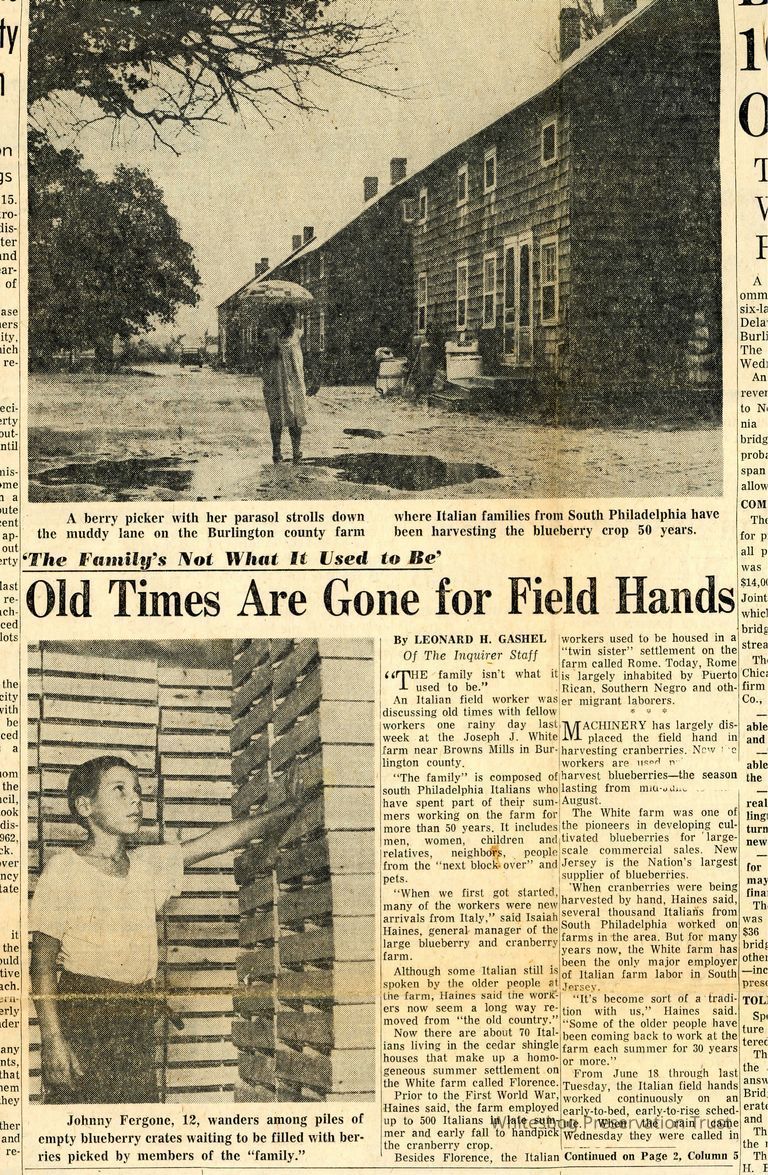          Old Times Are Gone For Field Hands picture number 1
   