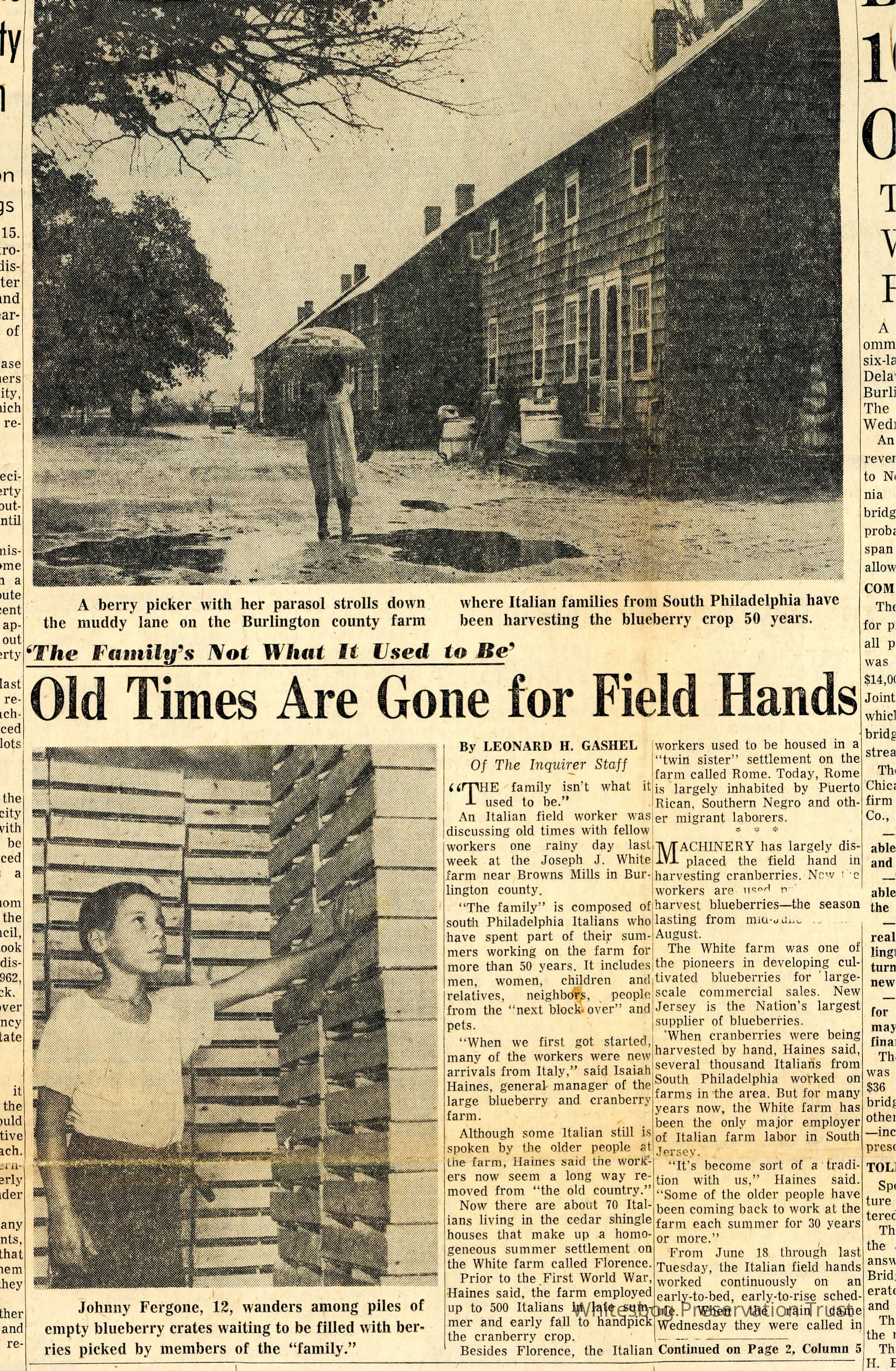         Old Times Are Gone For Field Hands picture number 1
   