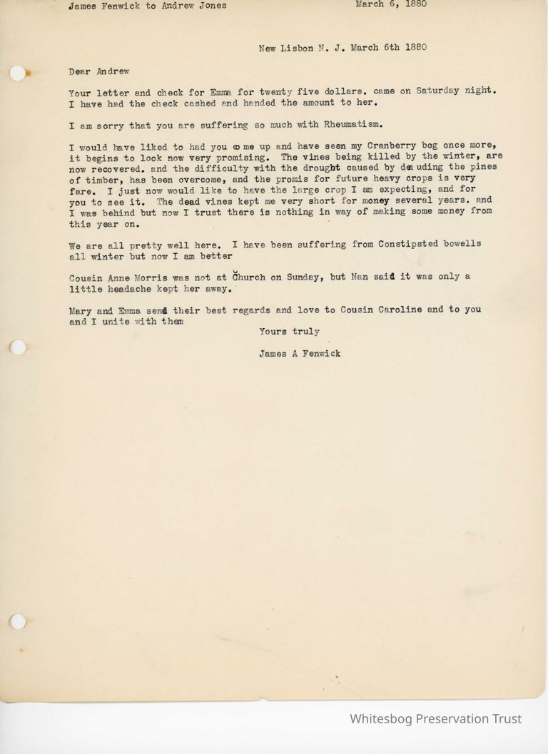          James Fenwick to Andrew Jones - March 6, 1880 picture number 1
   