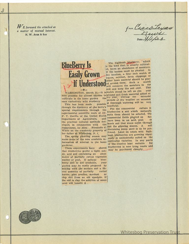          Newspaper Clipping picture number 1
   