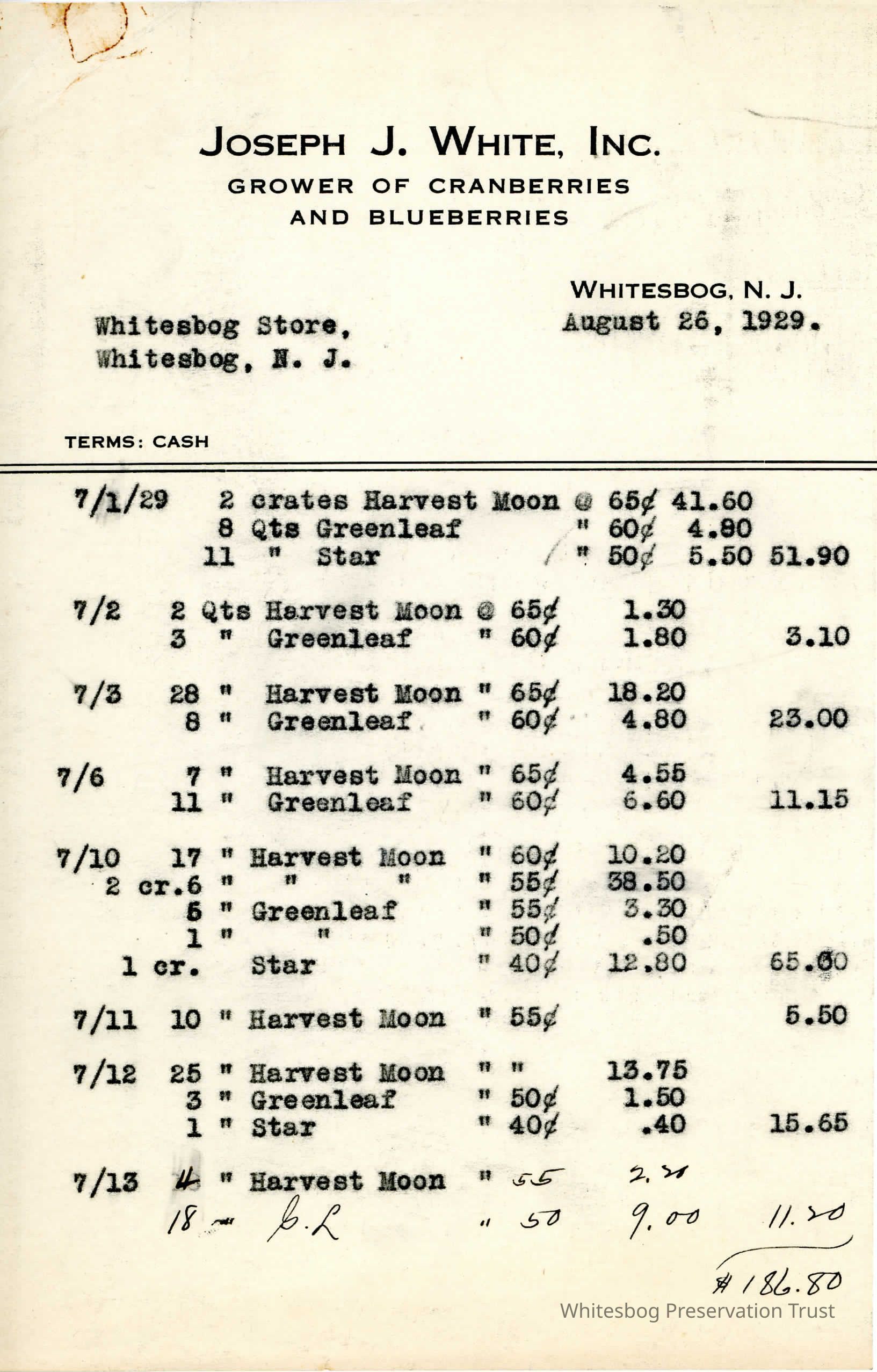 Financial Sheet picture number 1