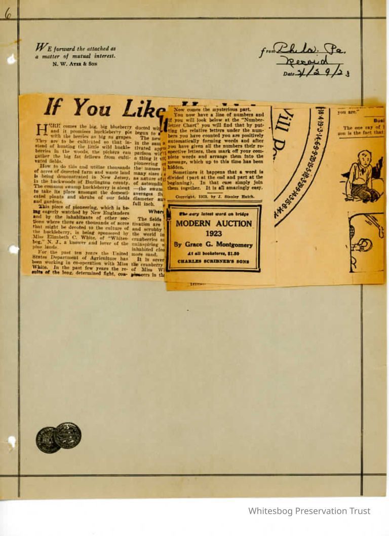          Newspaper Clipping picture number 1
   