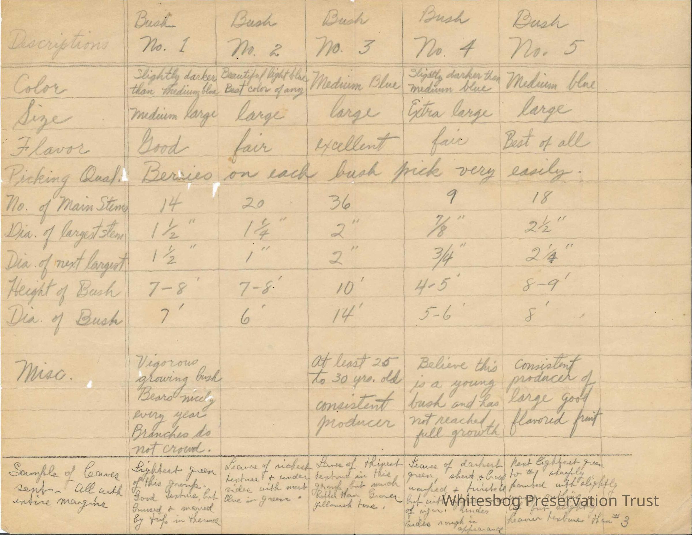          Monitoring Test Bushes
   