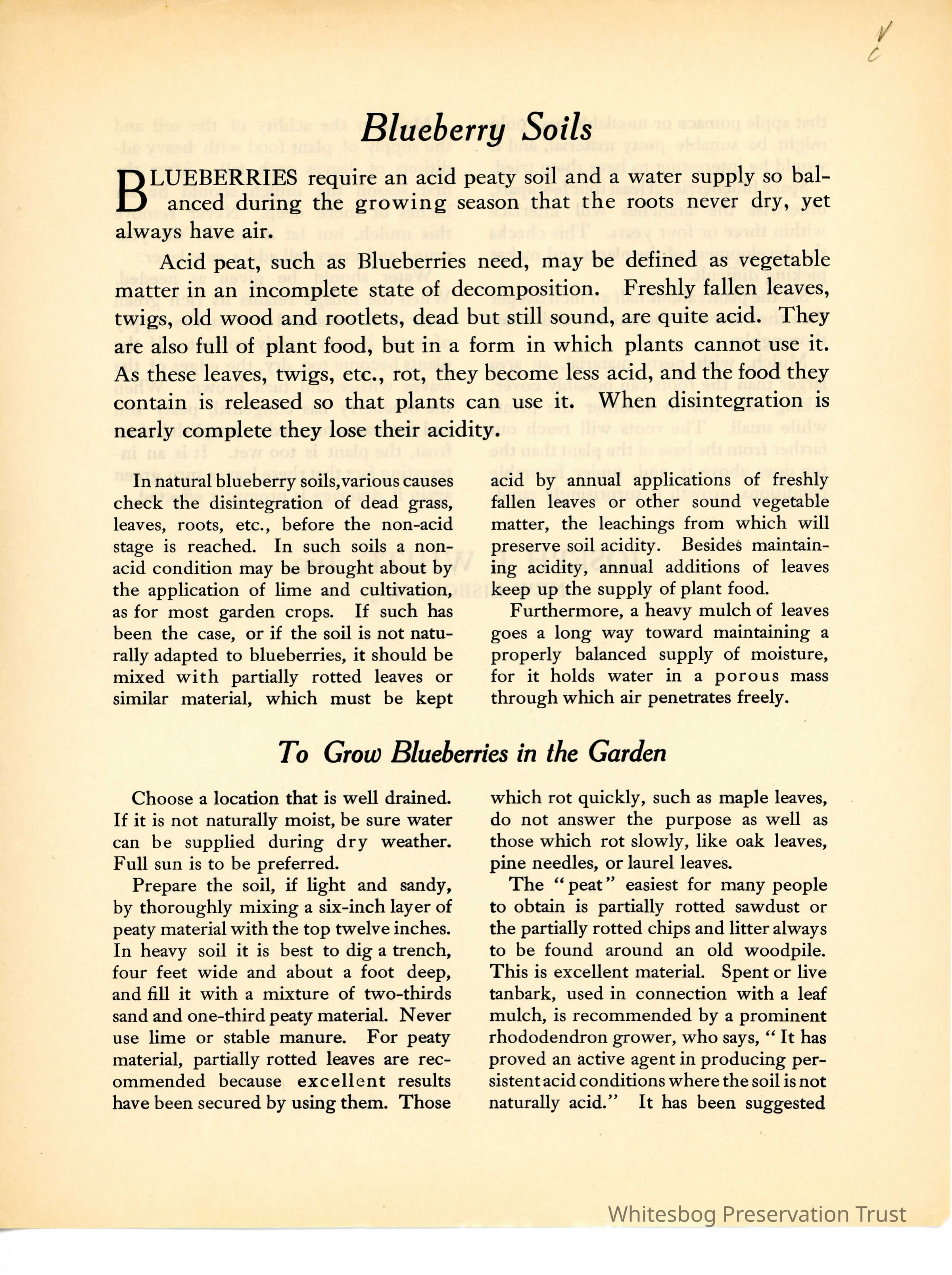          Blueberry Soils picture number 1
   