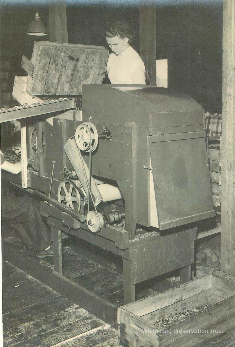          Berry Sorting Machine
   