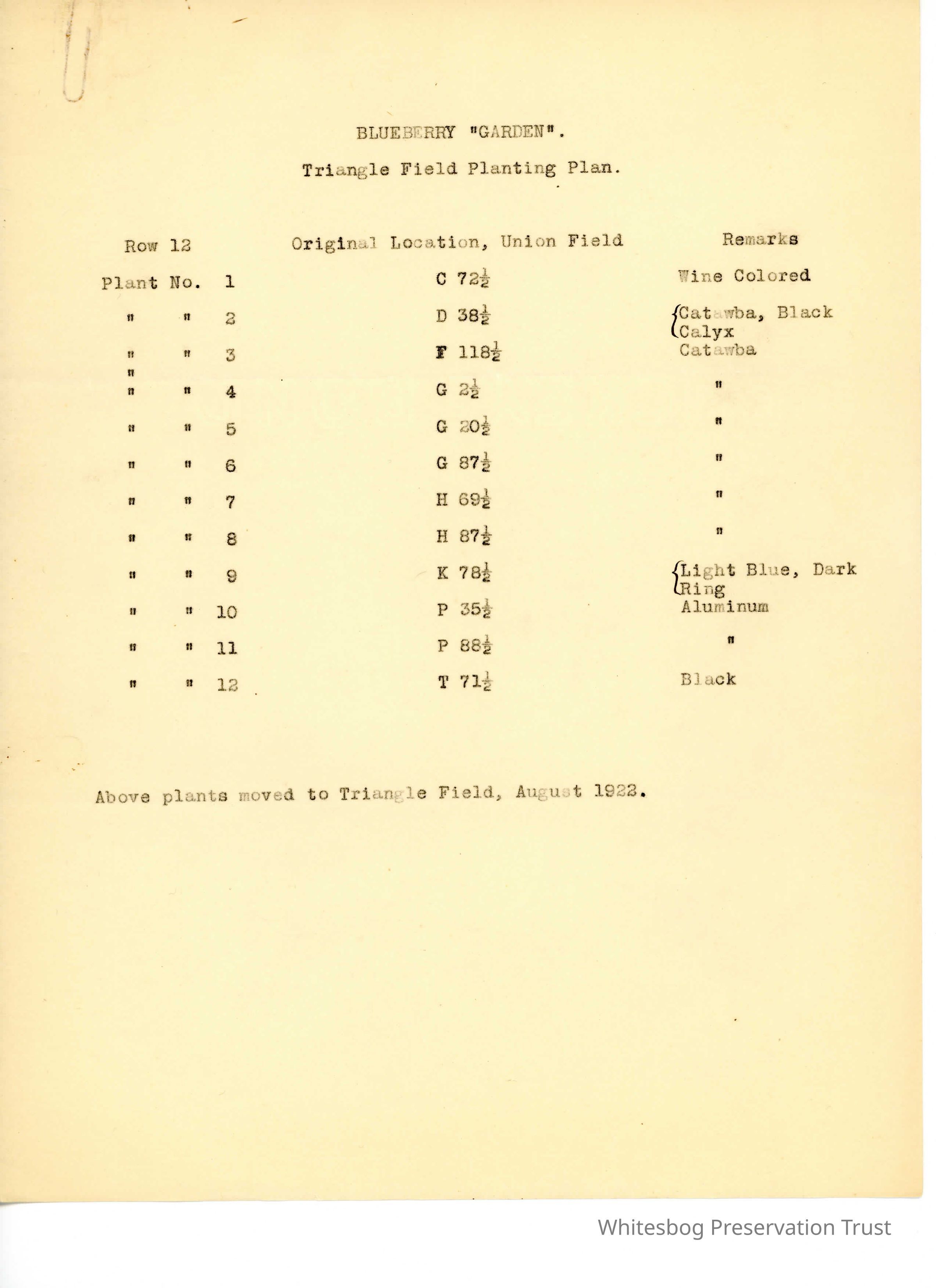          Blueberry Test Fields picture number 1
   