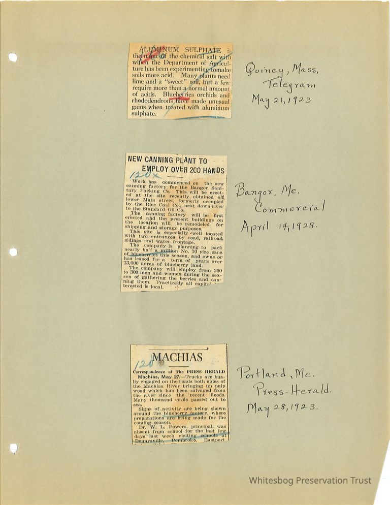          Newspaper Clippings picture number 1
   