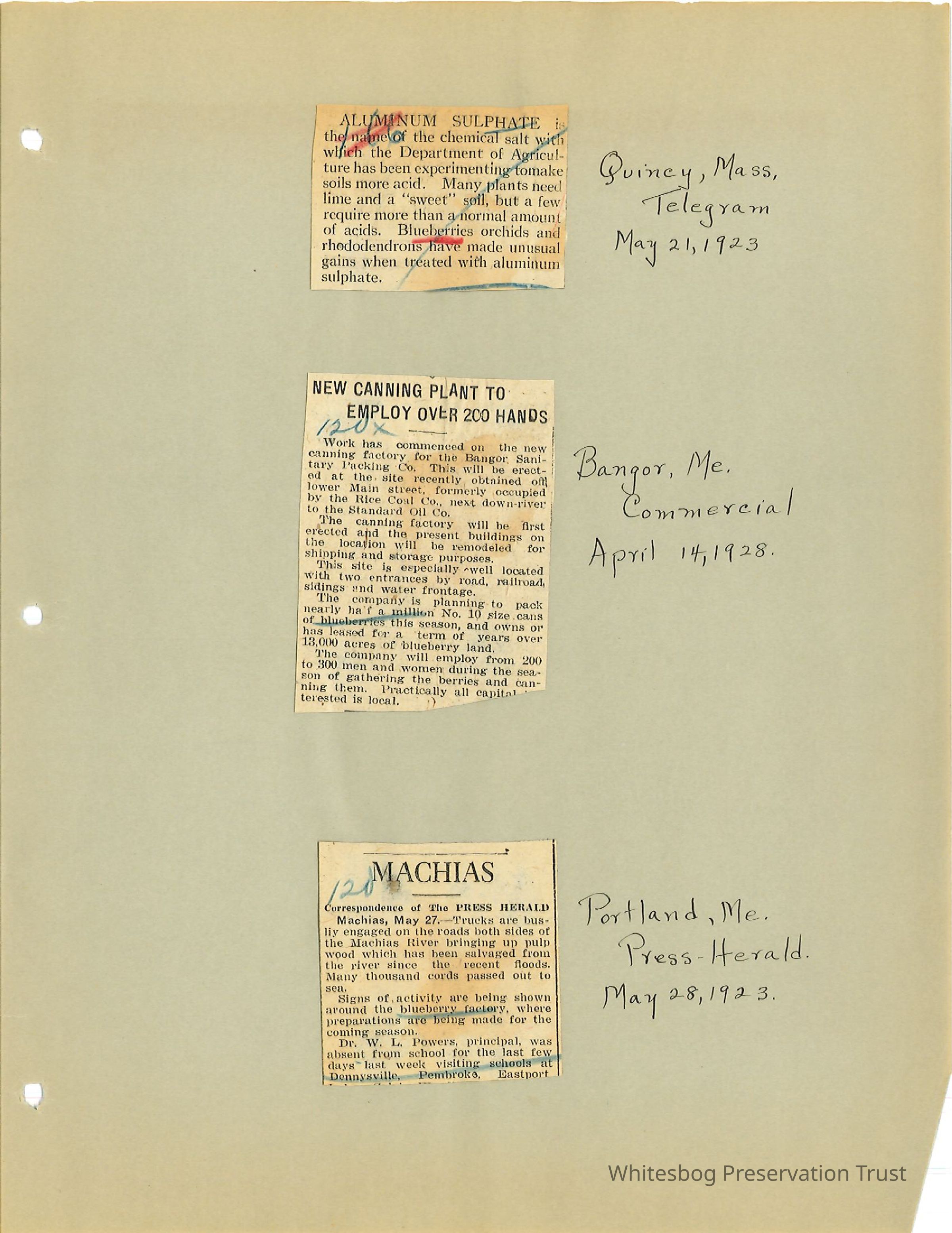          Newspaper Clippings picture number 1
   