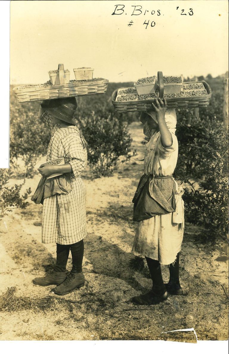          Children Carrying Filled Baskets picture number 1
   