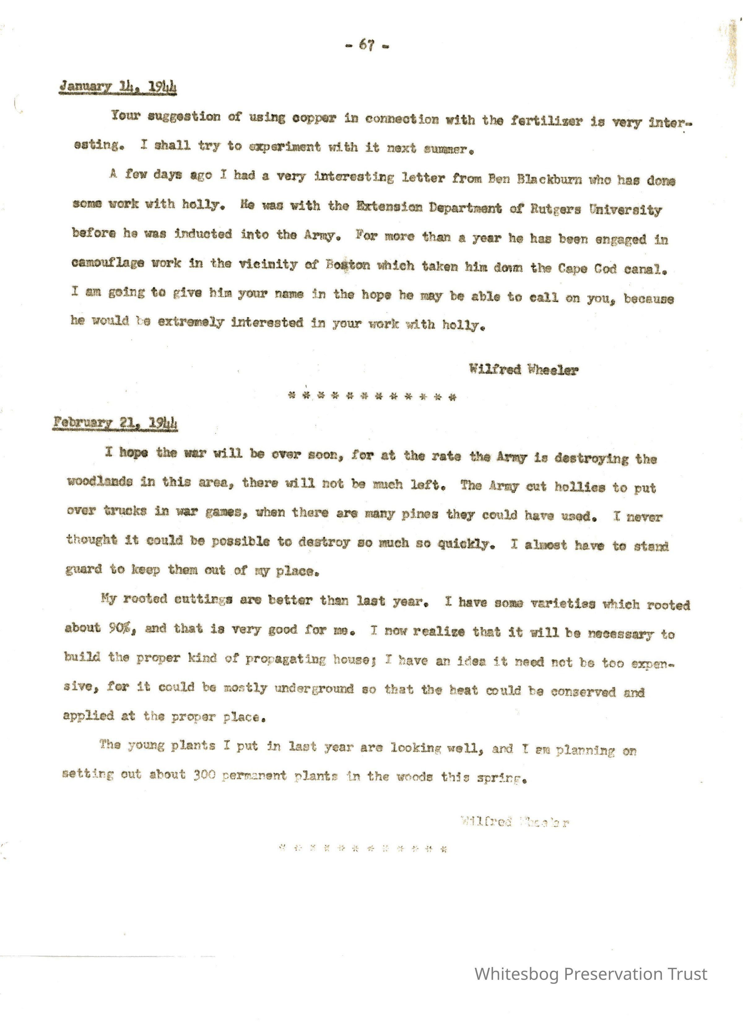 Letters Between Elizabeth White and Wilfrid Wheeler picture number 1