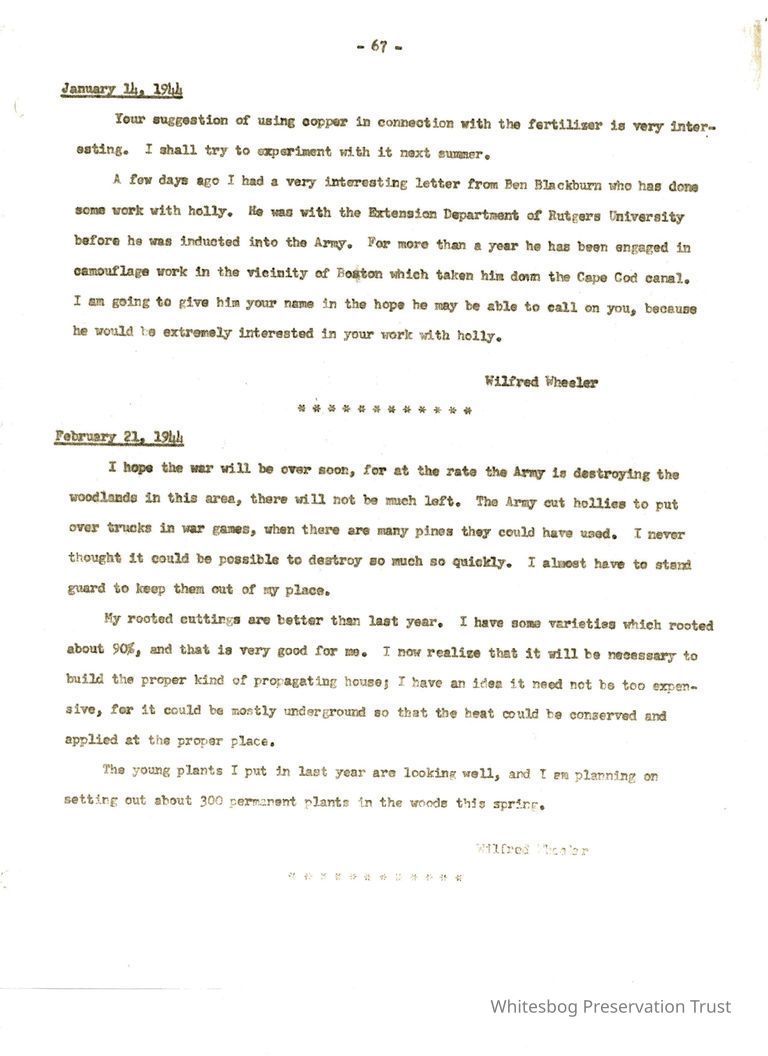          Letters Between Elizabeth White and Wilfrid Wheeler picture number 1
   