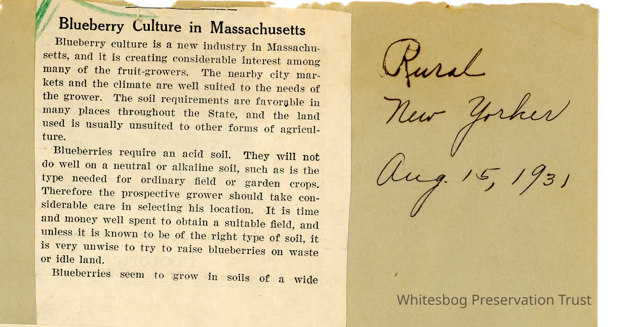          Blueberry Culture- Massachusetts picture number 1
   